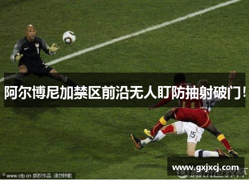 阿尔博尼加禁区前沿无人盯防抽射破门! 阿尔博尼加禁区前沿无人盯防抽射破门!